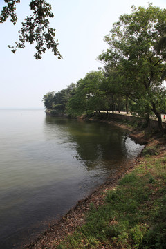 樹蔭湖泊景色