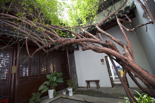 甘家大院