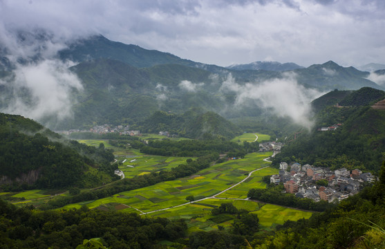山村 云霧