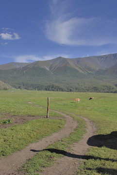 山中小路