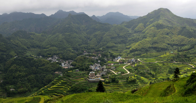 田園
