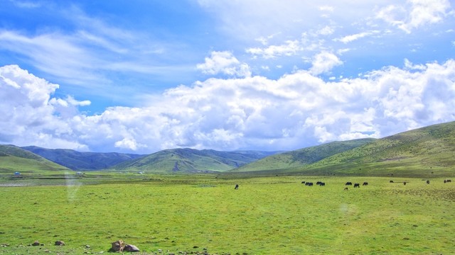 草原風(fēng)光