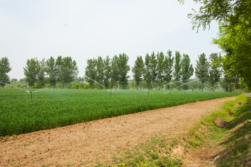 農(nóng)田澆灌