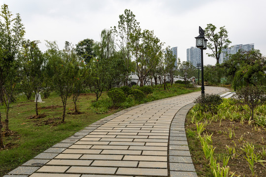 武漢沙湖公園