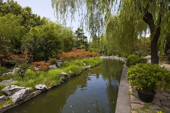 南京總統(tǒng)府花園