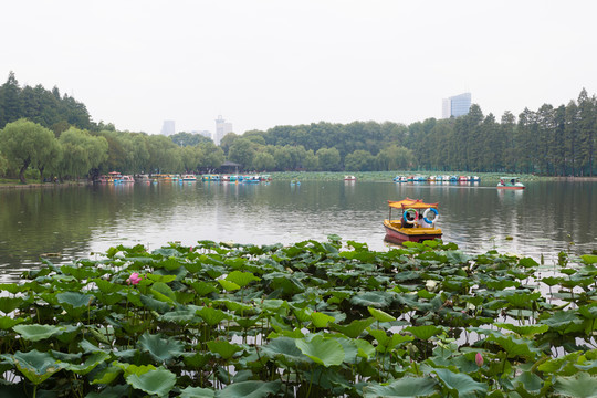 武漢東湖公園