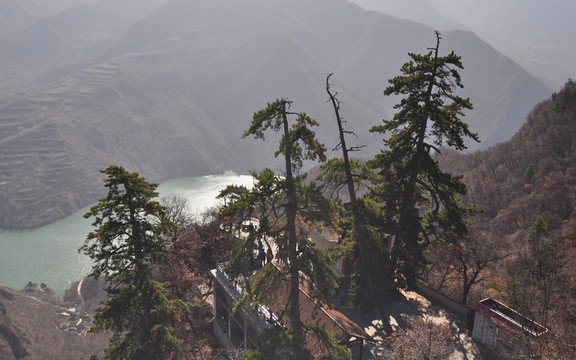 平?jīng)鲠轻忌? style=