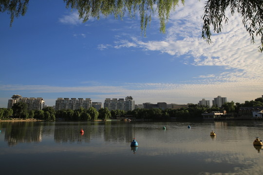 紫竹公園