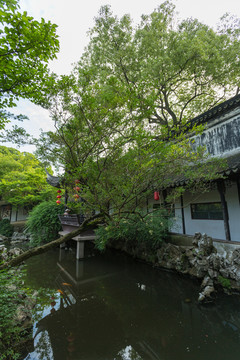 蘇州同里園林退思園
