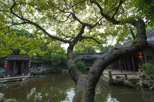 蘇州同里園林退思園