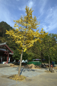 五泄風景區(qū)