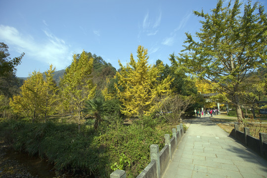 五泄風(fēng)景區(qū)