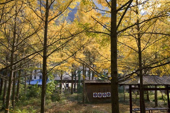 五泄風(fēng)景區(qū)