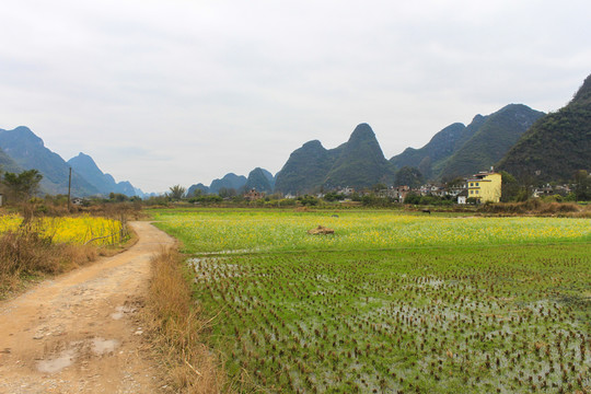 廣西陽(yáng)朔田園