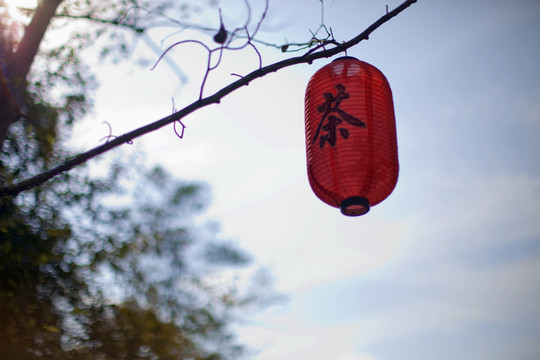 紅燈籠