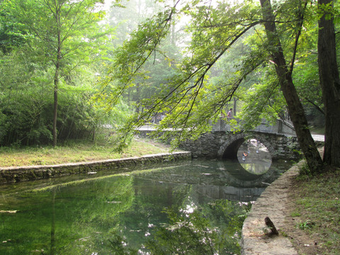 瑯琊山 古樹石橋