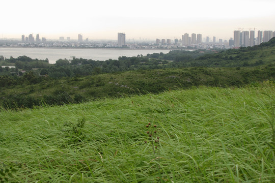 青山綠草湖泊城市 滁州