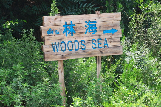 林海景區(qū)
