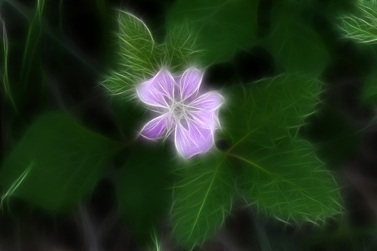 東方草莓 電腦抽象畫