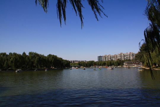陶然亭公園