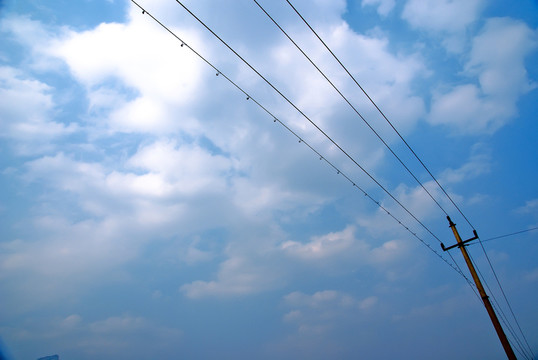 電線桿