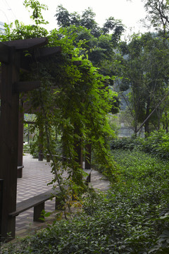 小區(qū)綠化景觀