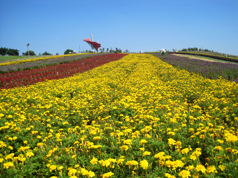 花