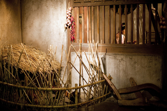 上海歷史發(fā)展陳列館  博物館