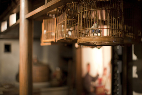 上海歷史發(fā)展陳列館  鳥(niǎo)籠
