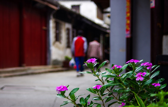 古鎮(zhèn)街