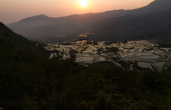 元陽(yáng)梯田 多依樹梯田日出風(fēng)光