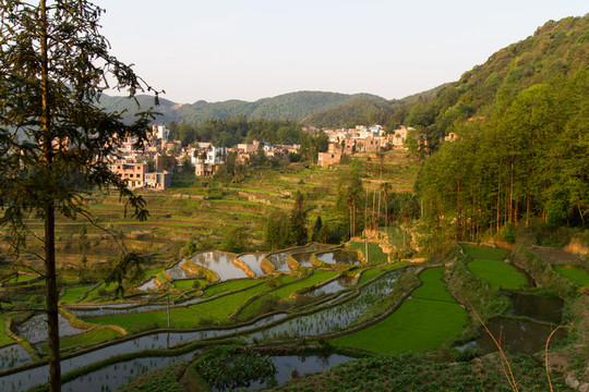 元陽梯田 壩達(dá)景區(qū)風(fēng)光