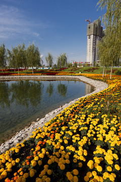 公園