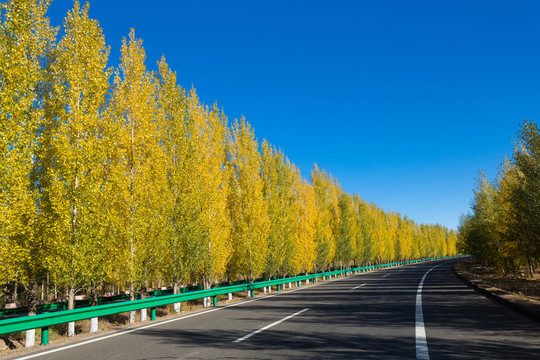 高速公路
