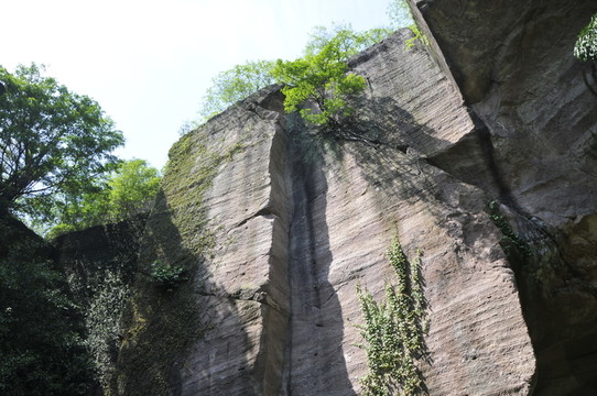 蓮花山 古采石場