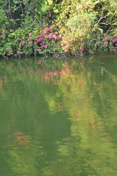 蓮花山 湖光山色