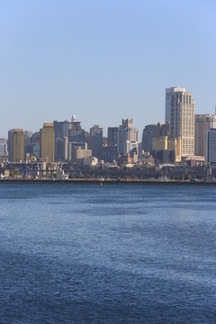 大海