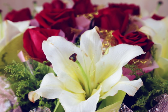 百合花