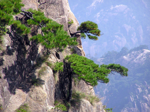黃山風光
