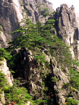 黃山風光