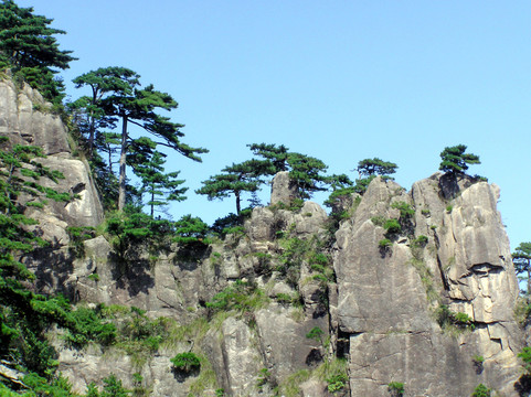黃山風(fēng)光