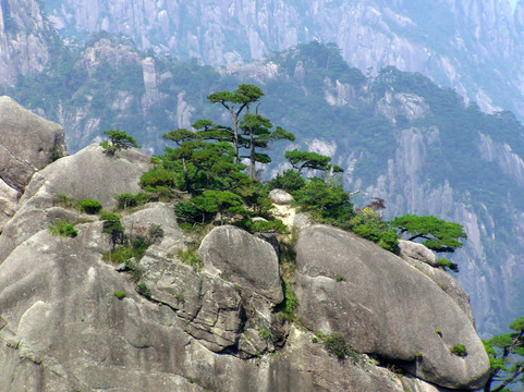 黃山風光