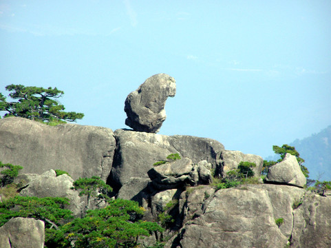 黃山石猴觀海