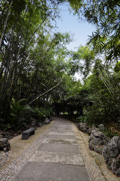 石板路