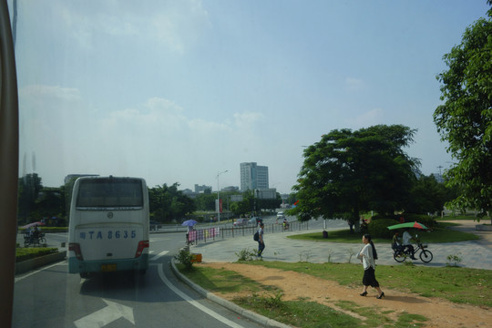 城市道路