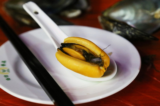 淡菜