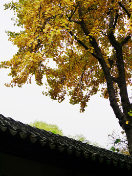 蘇州耦園
