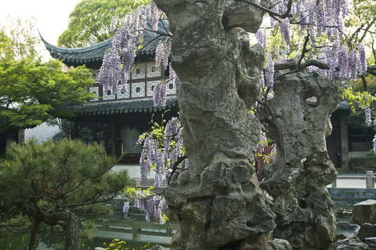 蘇州留園春色