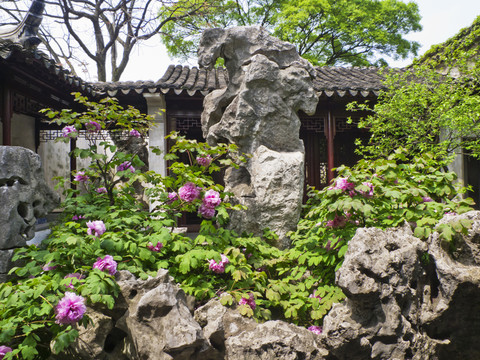 蘇州留園春色