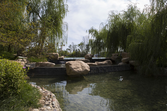 公園
